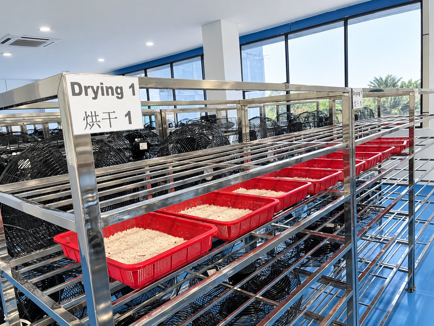 Edible bird's nest drying area with trays and rack-mounted airflow equipment
